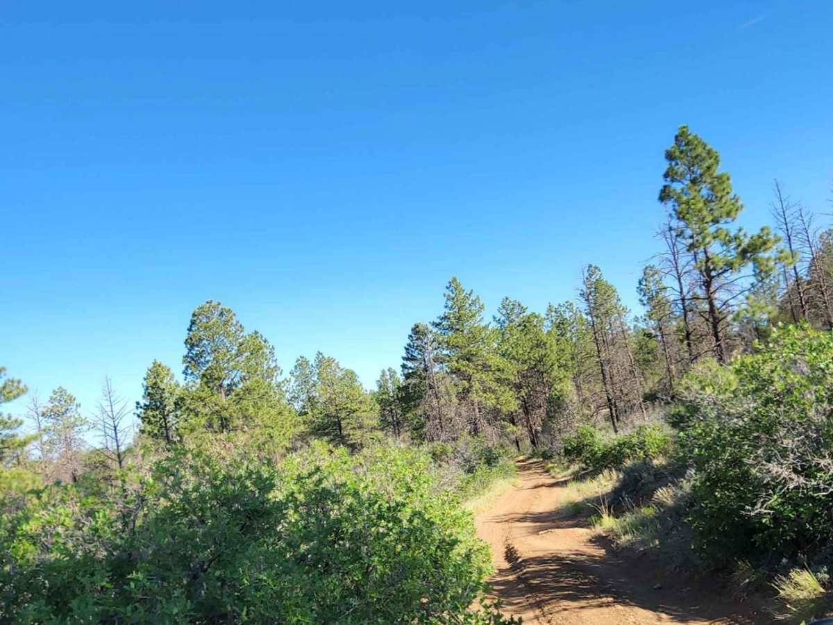 Beaver Rim F Road photo 3