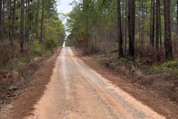 Coldwater Horse Trail