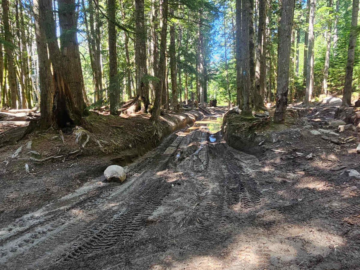 Swamp Trail photo 5