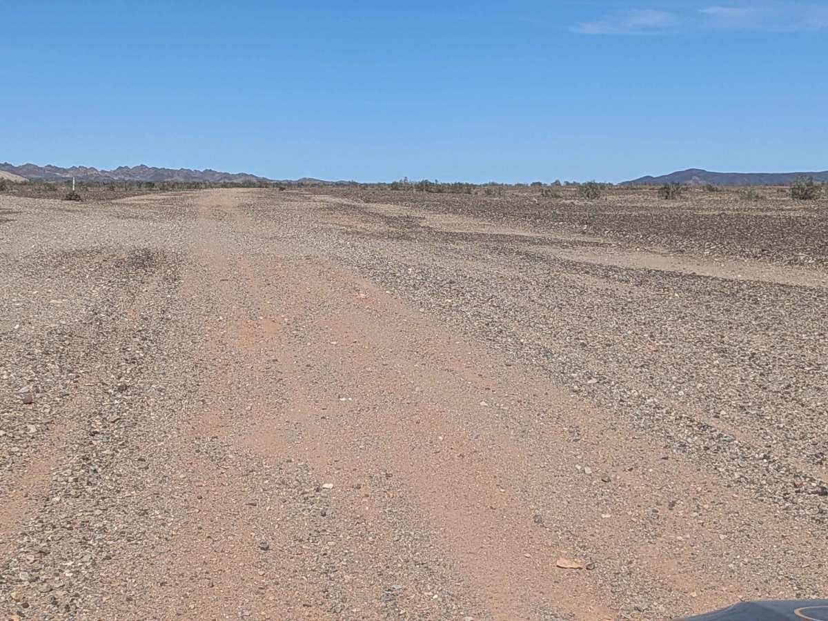 BLM 629 photo 6