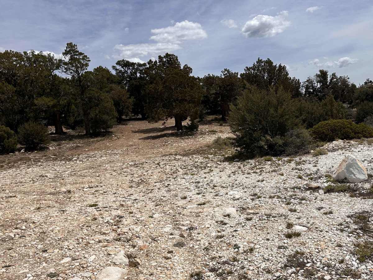 Quarry Lane trail photo