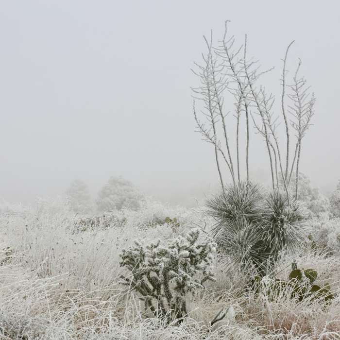 Near Devil's Hall Trail