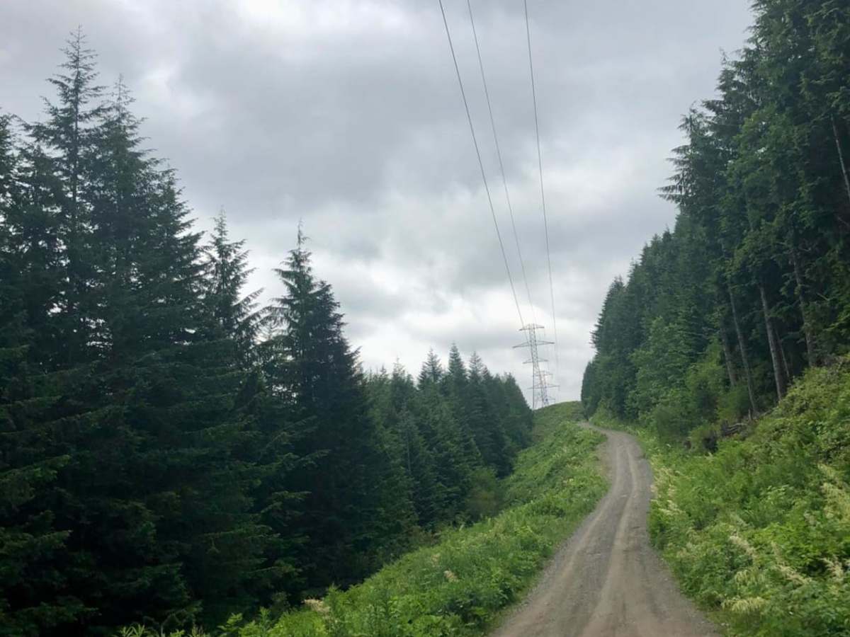 Garcia Road photo 4