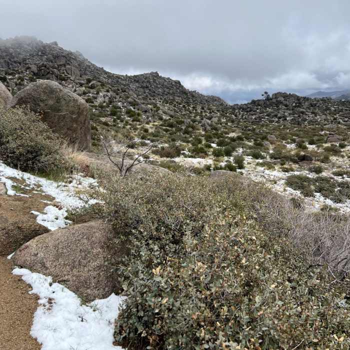 Near Granite Hot Shots Memorial