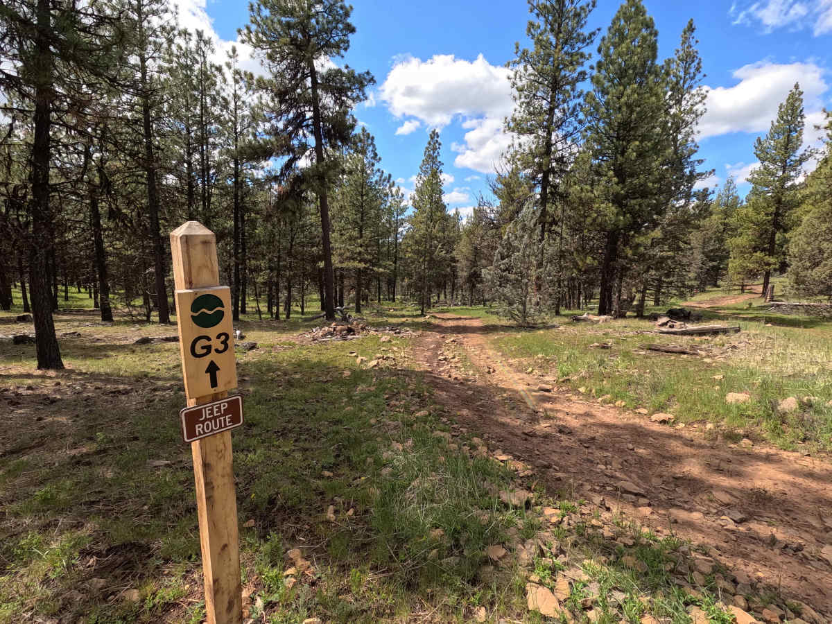 Trail G3 trail photo