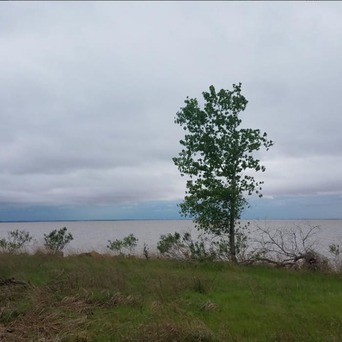 Near Jet Recreation Nature Trail