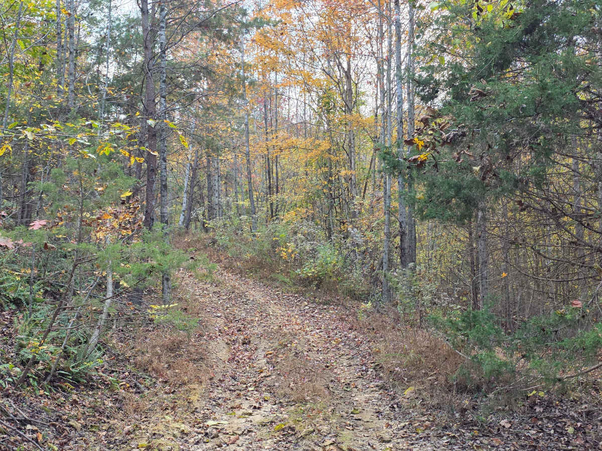 Snake Ditch photo 4