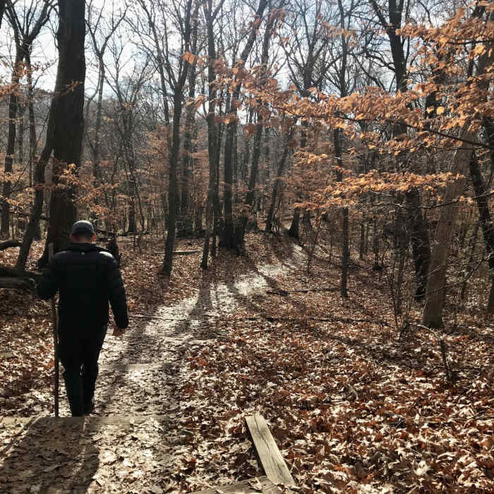 Near White Tail Trail