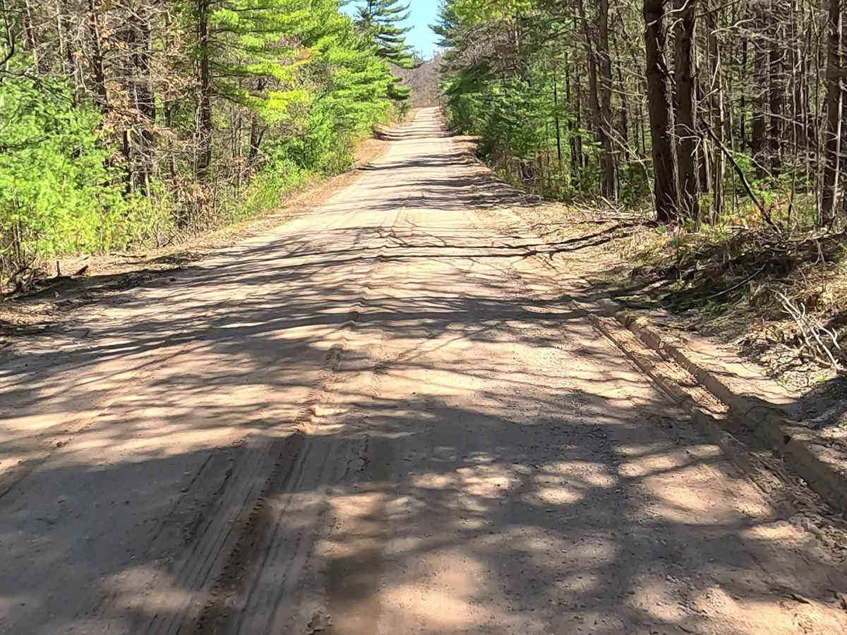 Hughes Lake Road - FS 4328 photo 4
