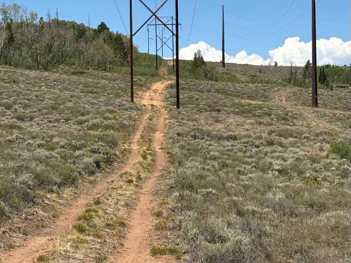 Kinney Creek Highline photo 4