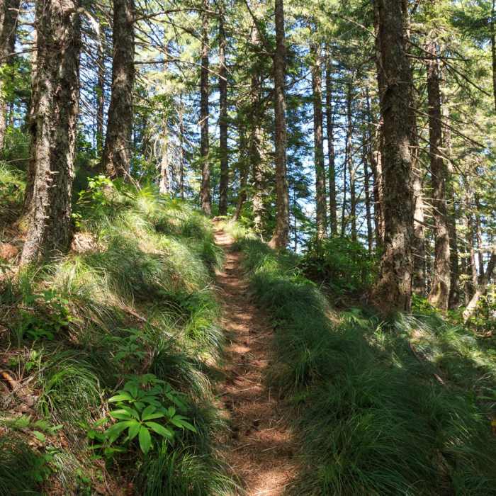 Near Henline Mountain