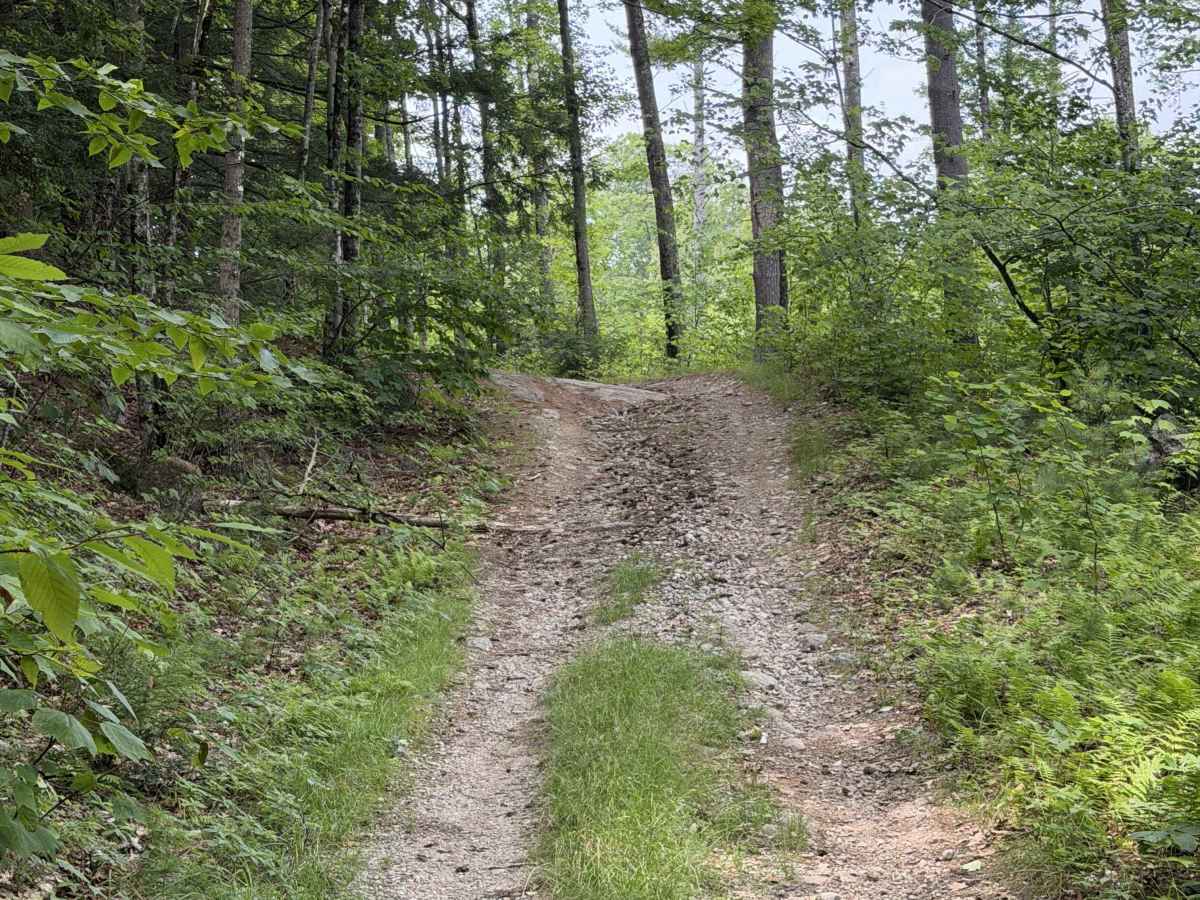 Page Trace Road photo 2
