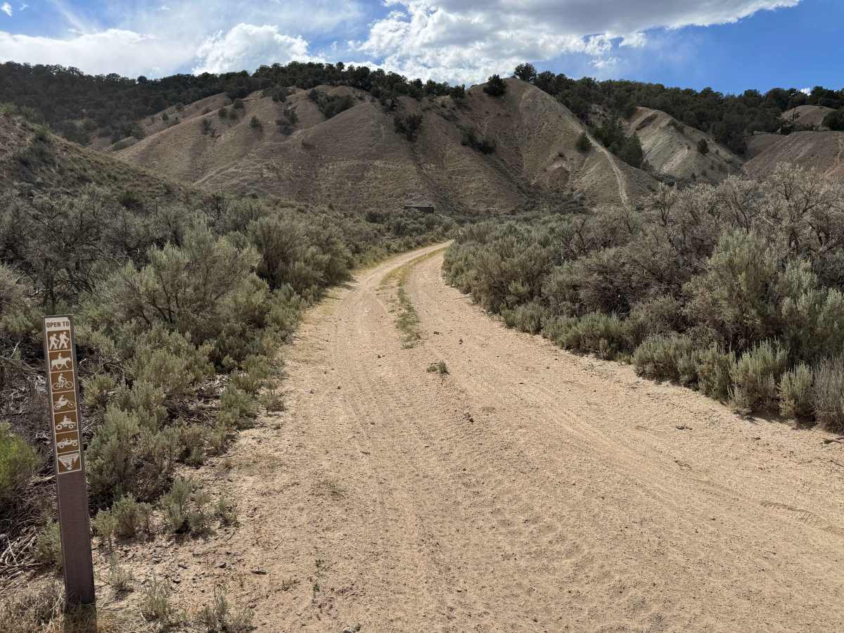 BLM 8461 photo 6