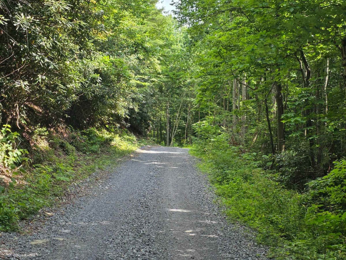 Middle Road photo 2