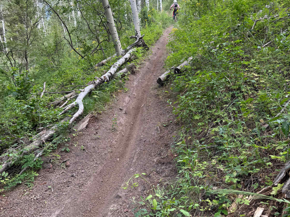 Carlton Cutoff - FS 060 trail photo