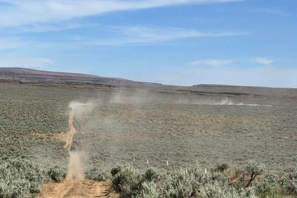 Sagebrush Flats Cattle Trail