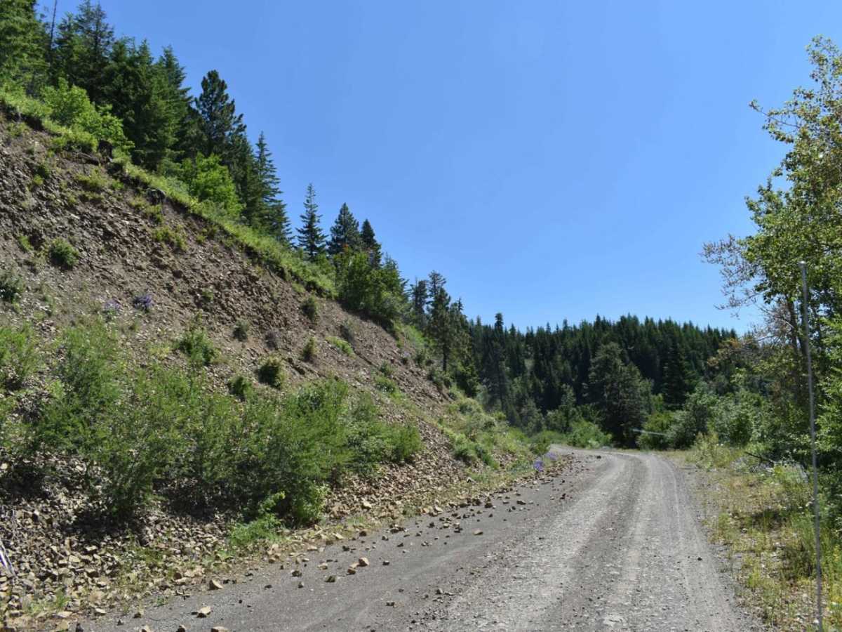 Tiger Creek photo 4