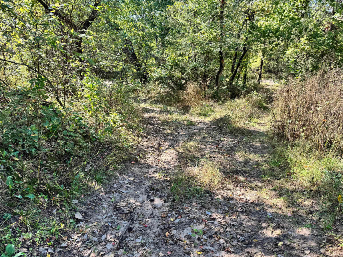 Shop Dog Spur trail photo