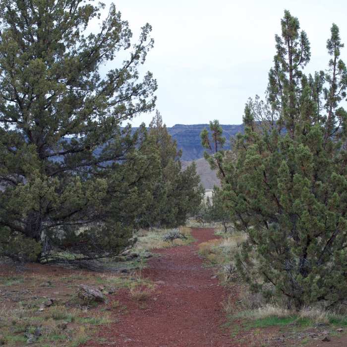 Near Leaf Hill Trail