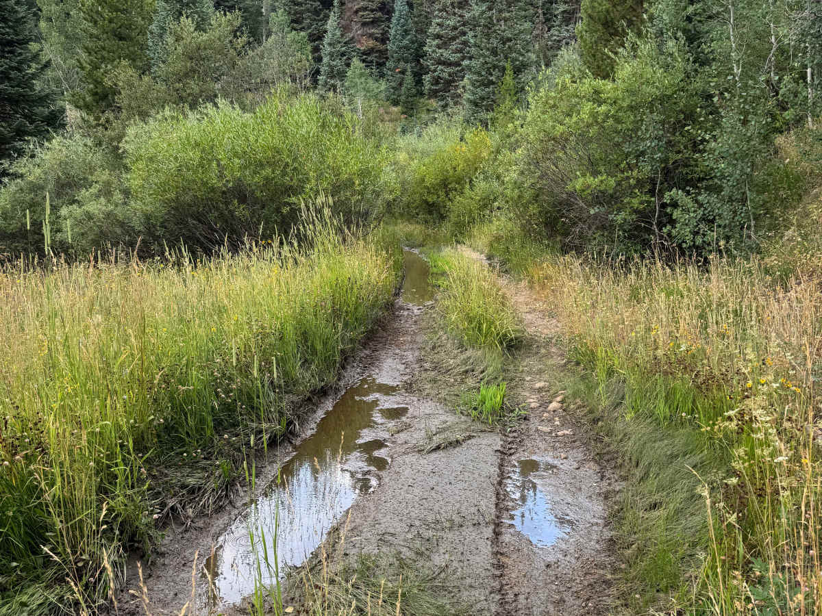 Little Mountain Road photo 5
