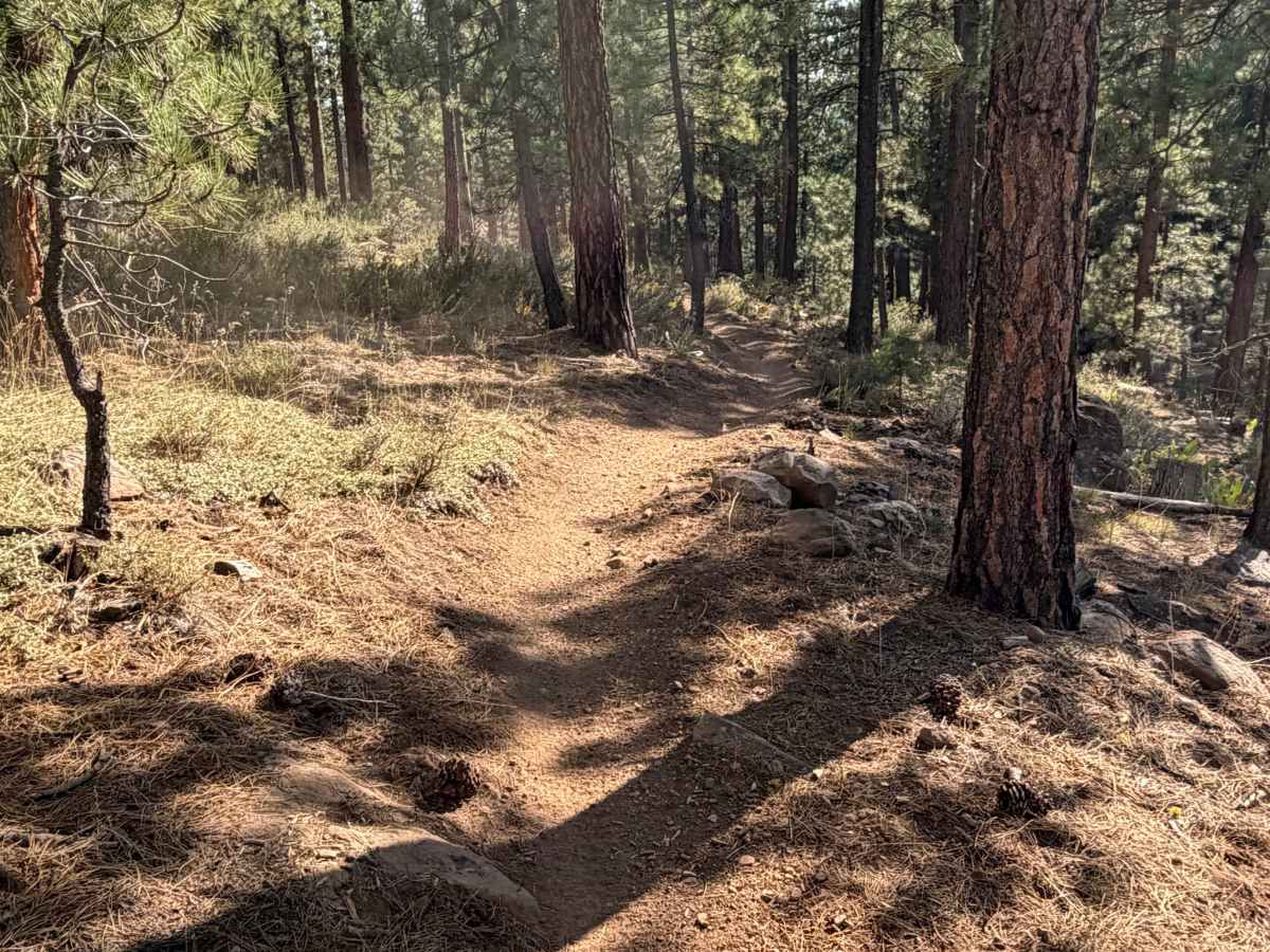 Beer Run Trail Upper photo 6