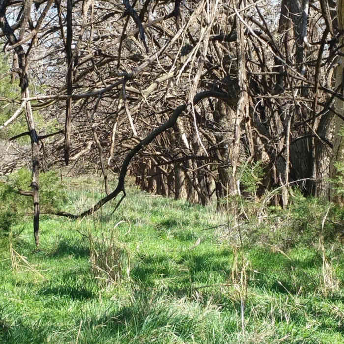 Lots of wildlife in this little cove Near Owl Cove Recreation Area