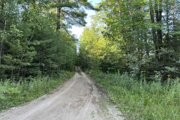 Devils Creek Trail