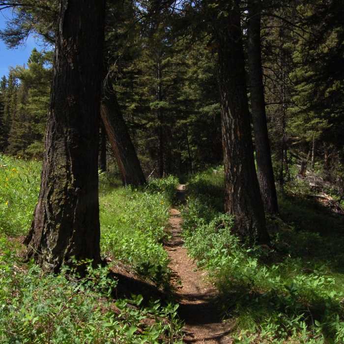 Near Sepulcher Mountain