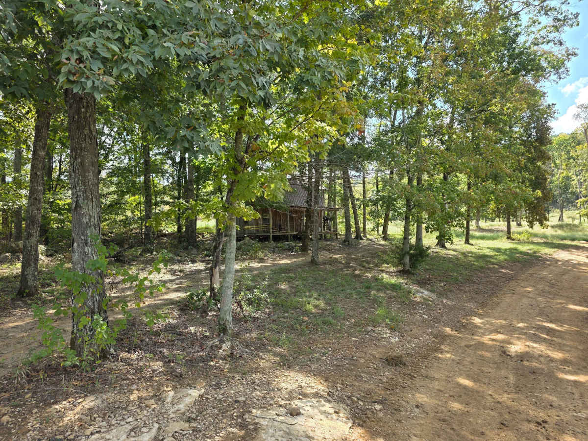 Power Line Trail  photo 6
