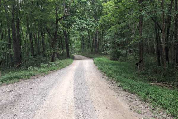 Elsam Fork Road - FS 345
