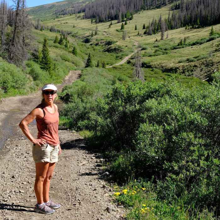 Lower section of trial (off Bachelor Loop Rd) is jeep road up to trailhead parking lot. Near West Willow Creek 4WD Road