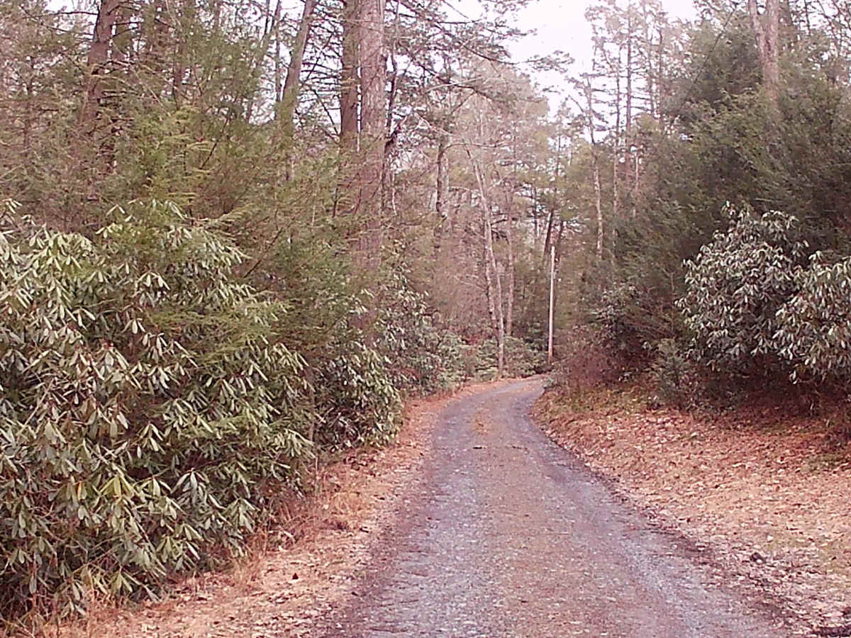 Corner Road photo 6
