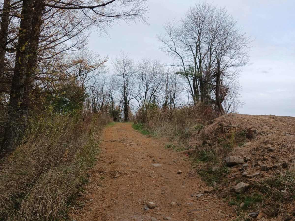 Trail 13C - Rock Run Recreation trail photo