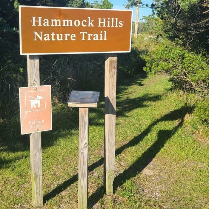 Near Hammock Hills Trail