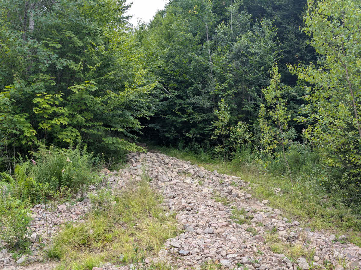 Goldmine Trail photo 6