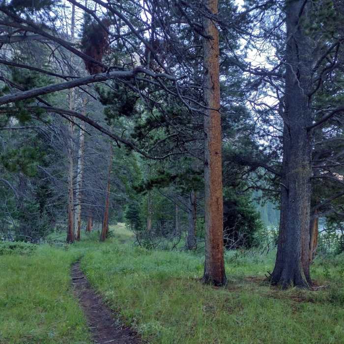 Near Upper Green River Lake North