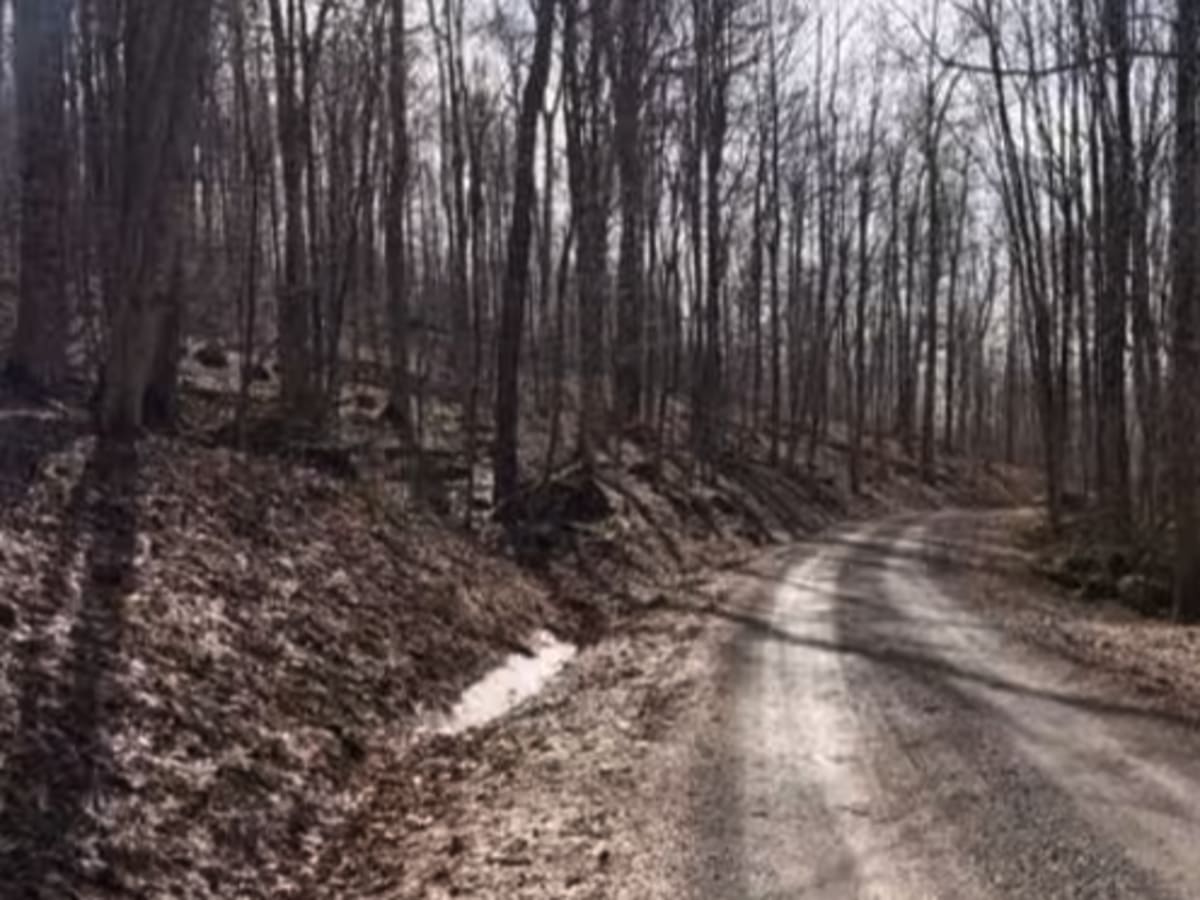 McGowen Mountain  photo 2