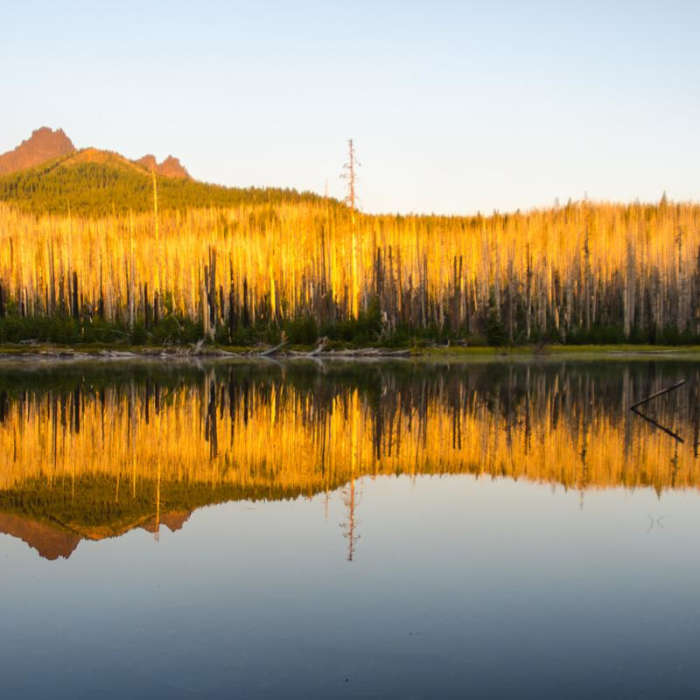 Near Canyon Creek Meadows Near Canyon Creek Meadows