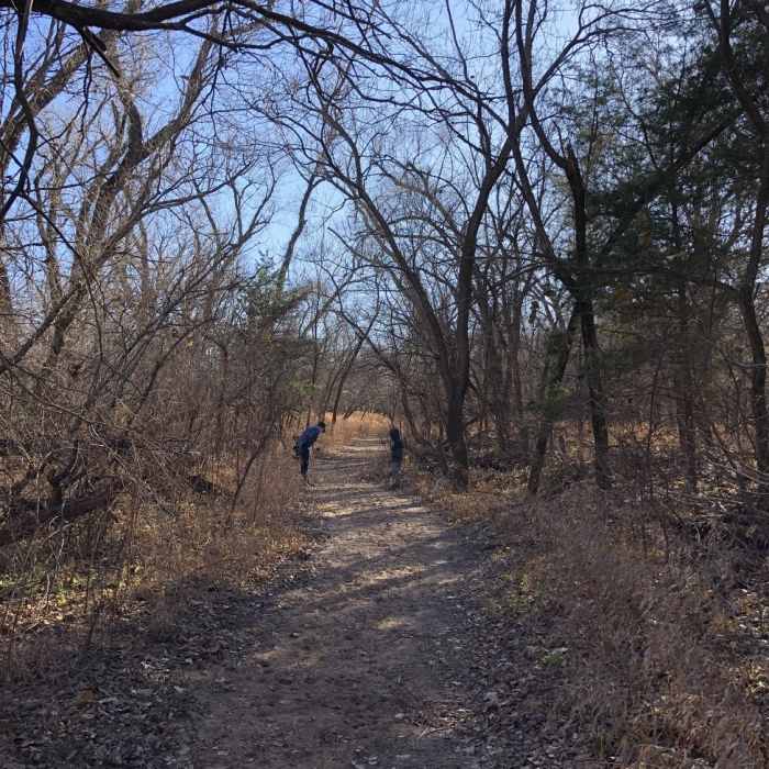 Near Chaplin Nature Center