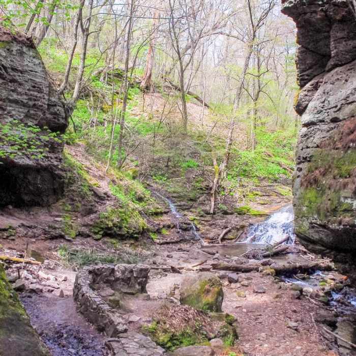 Near Parfrey's Glen Natural Area Near Parfrey's Glen Natural Area
