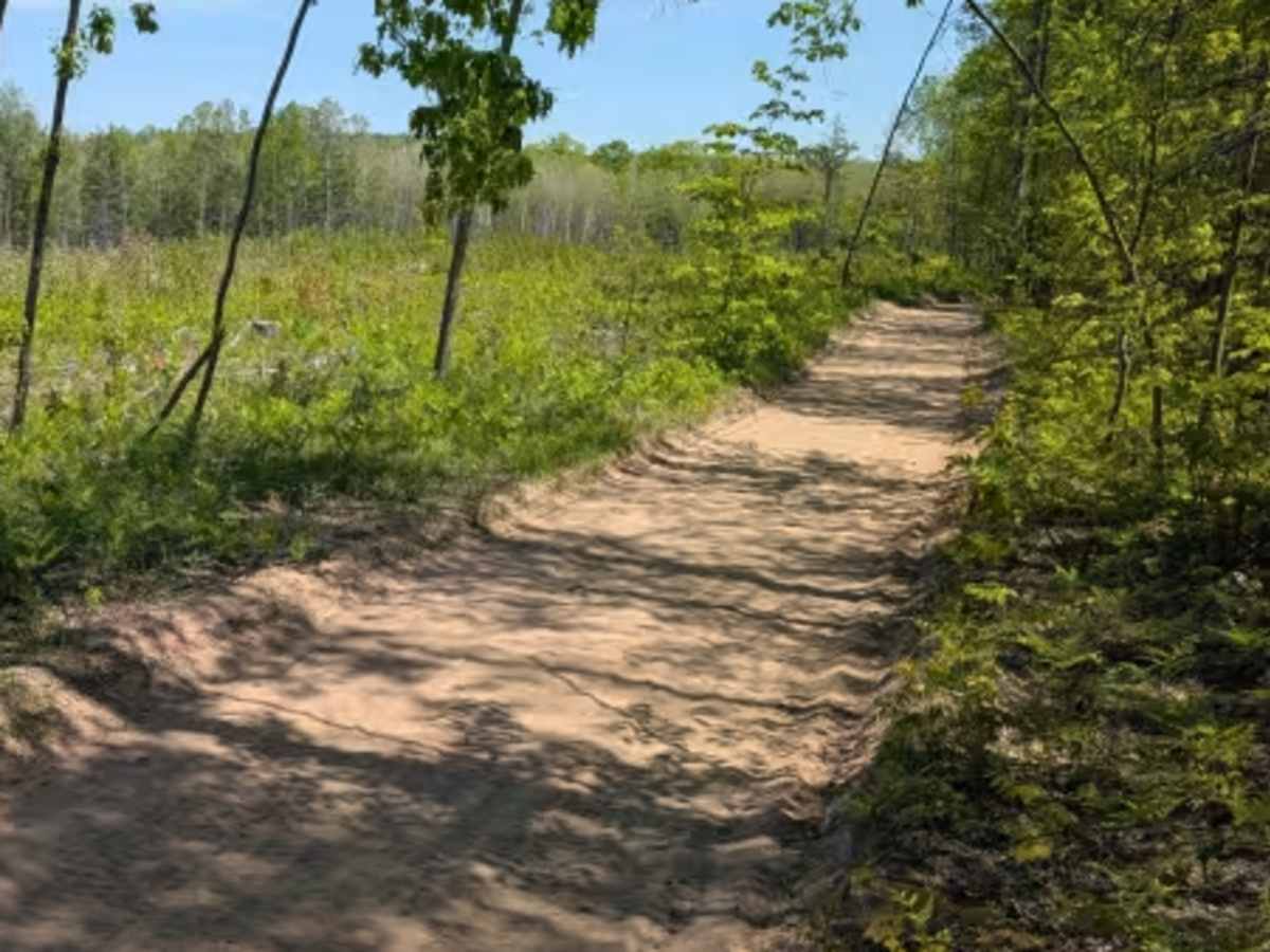 North Missaukee Route (section 5) photo 6