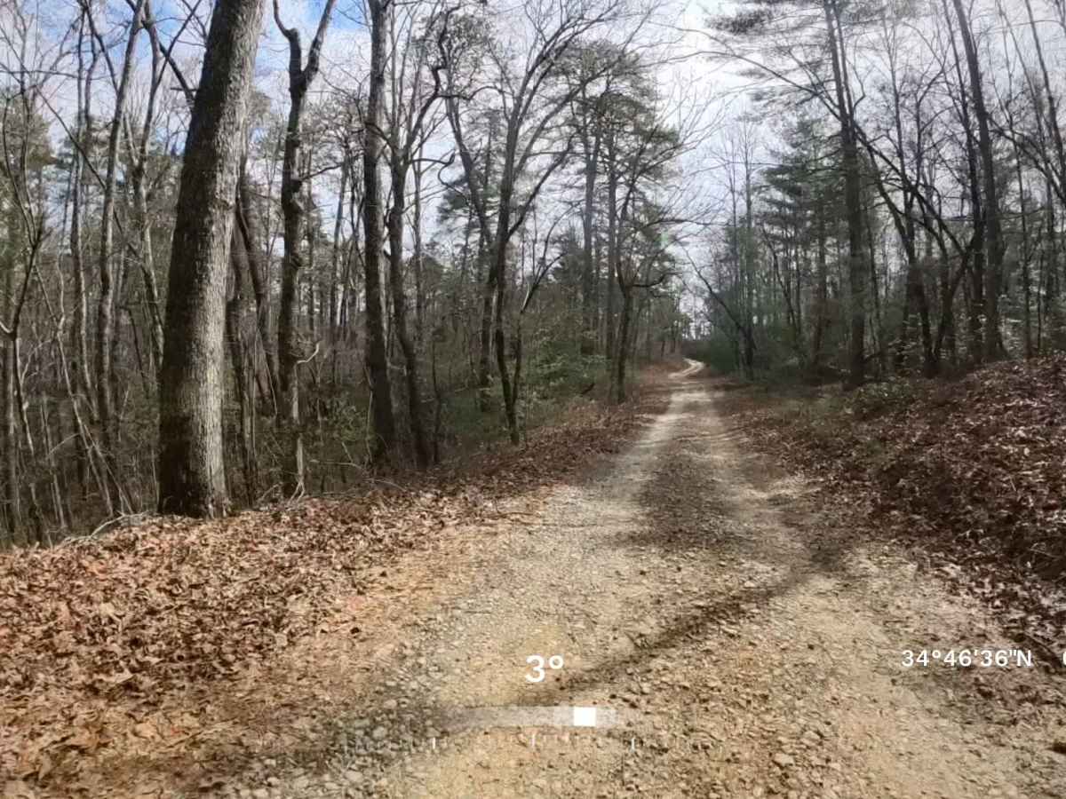 Water Gauge Road - FS 511 photo 3
