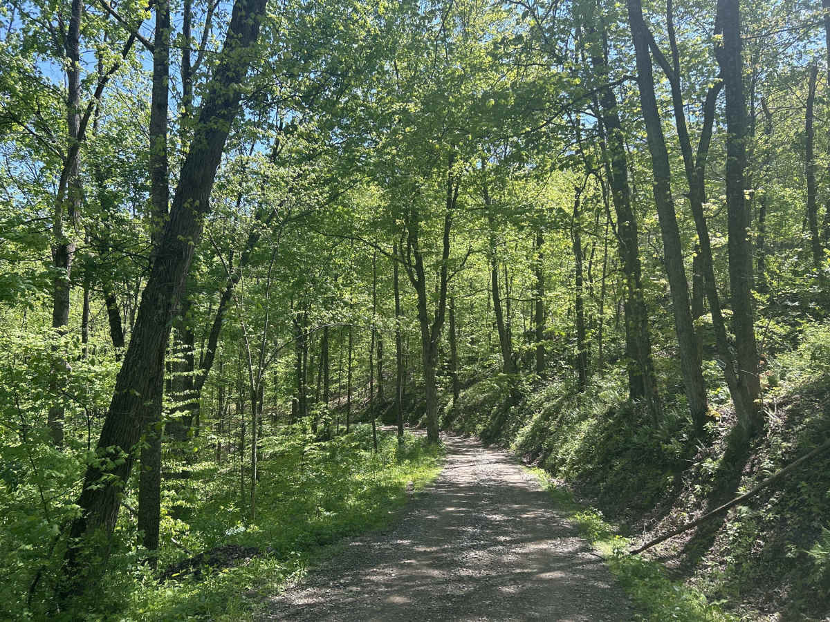 Hopewell Ridge  photo 2