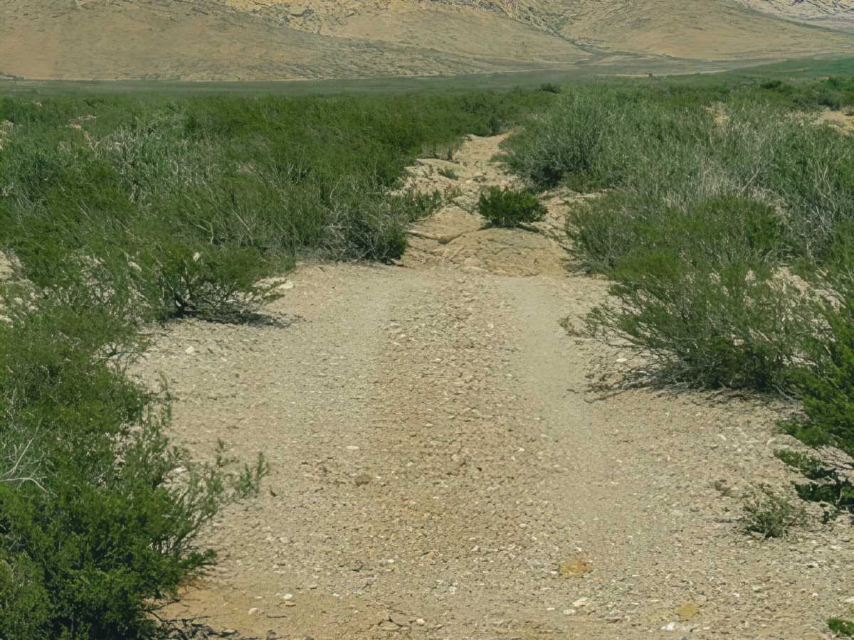 SS1160 photo 4