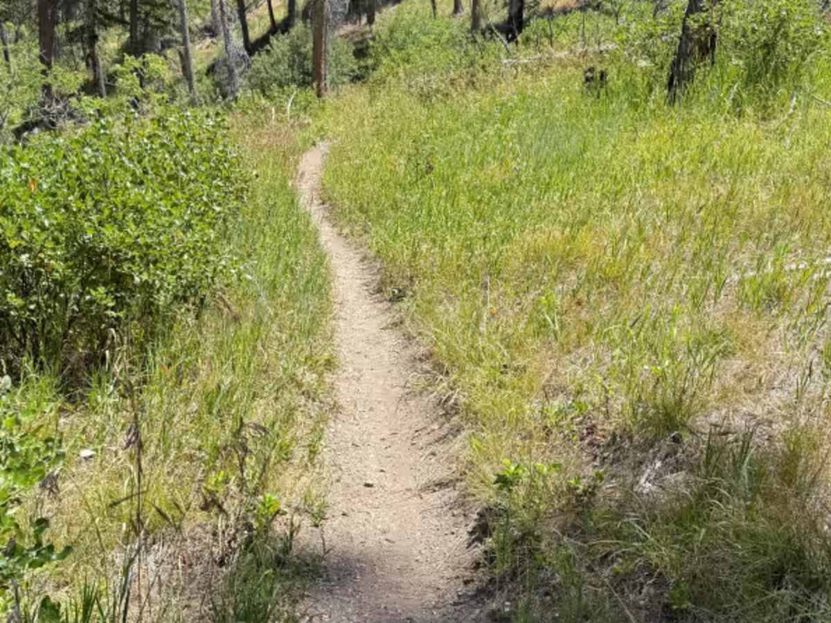 Gardner Gulch photo 4