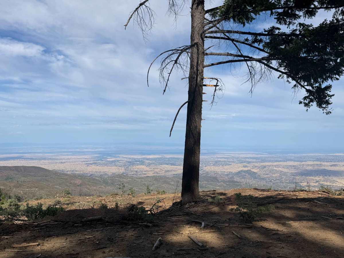 Lower Alltop - FS 24N56 trail photo