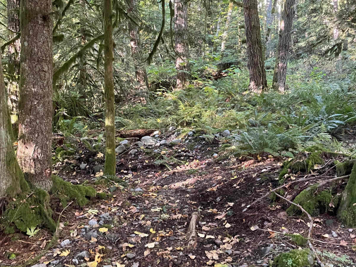 Entrance Trail trail photo
