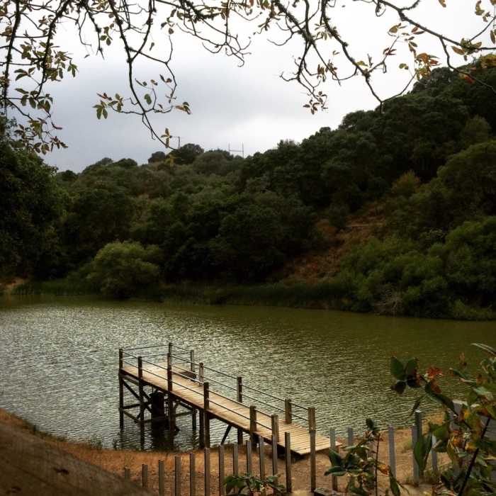 Near Water Dog Lake Park