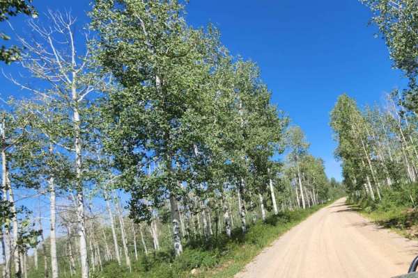 Spring Creek Road