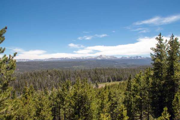 Johnson Meadow - FS 80207